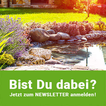 navi kachel newsletter garten bist du dabei 360x360